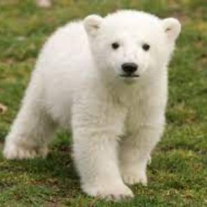 Meet your Posher, Ellie